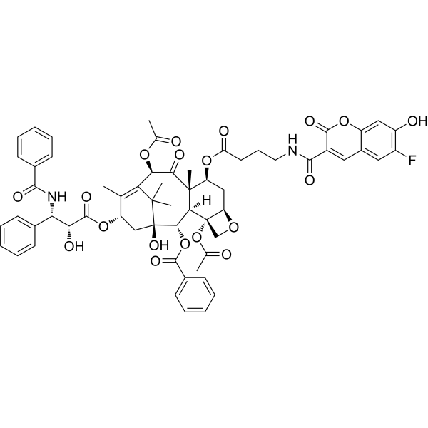 6FC-GABA-Taxol